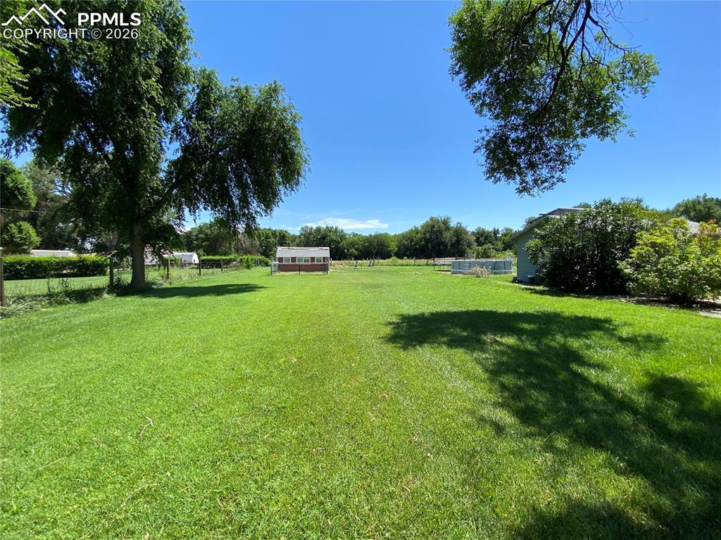 Image 5 of 47: Yard