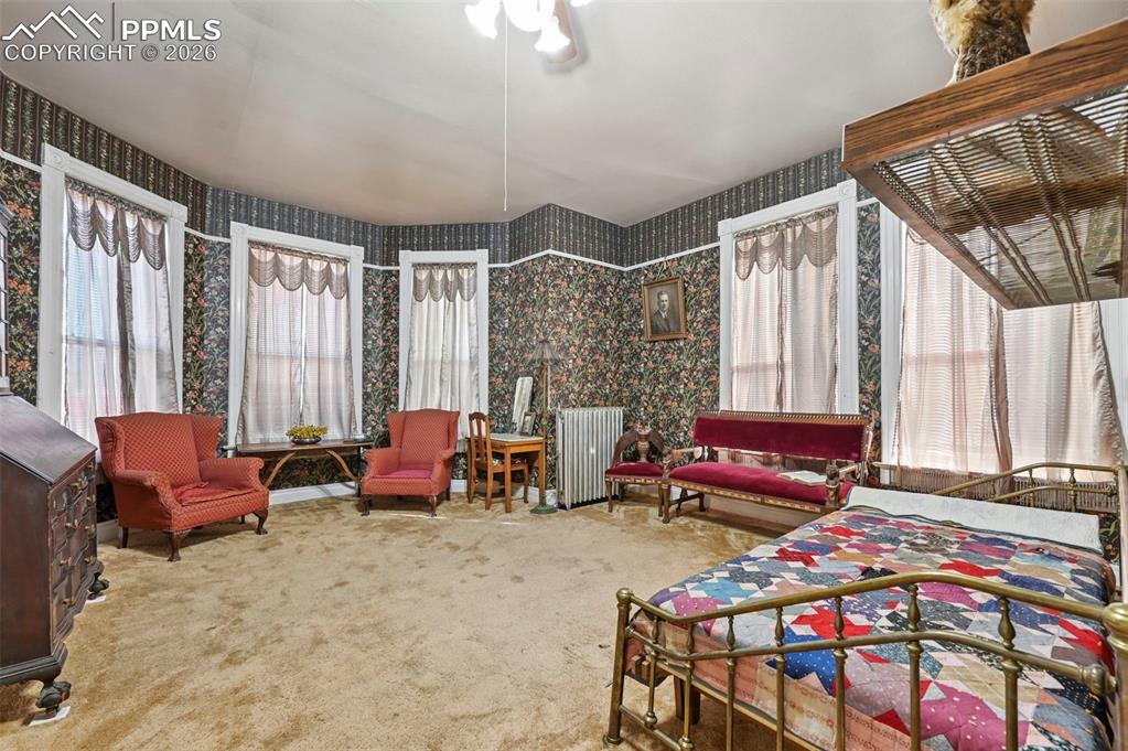 Image 17 of 50: Other