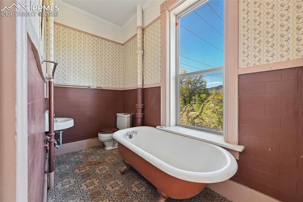 Image 33 of 50: Other