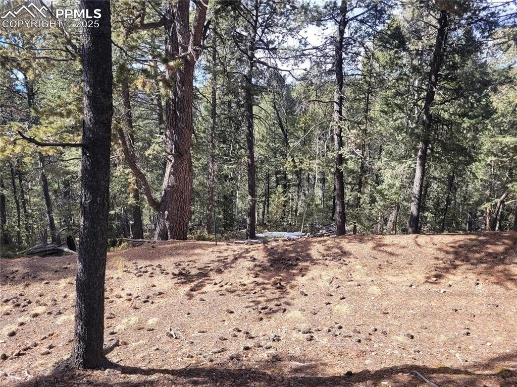 Image 10 of 37: Other