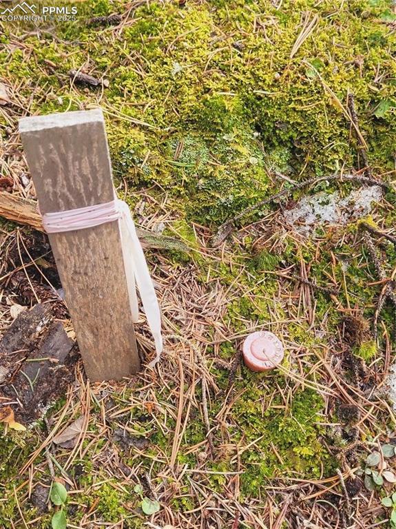 Image 11 of 37: Property corner pin