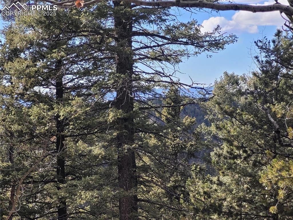 Image 12 of 37: Other