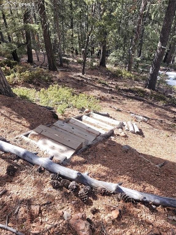 Image 13 of 37: Yard