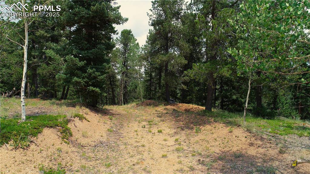 Image 14 of 37: Other