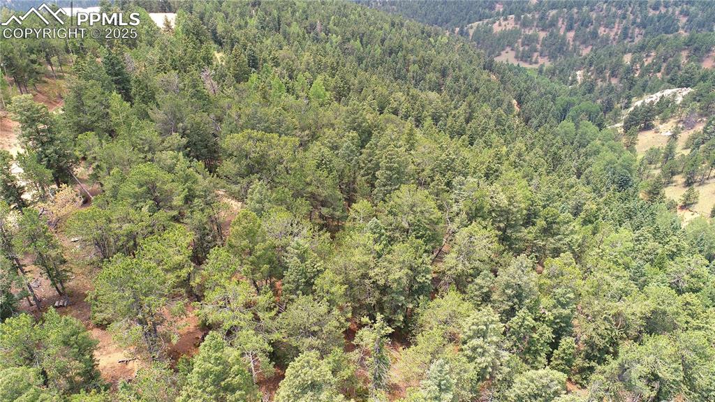 Image 16 of 37: Aerial View