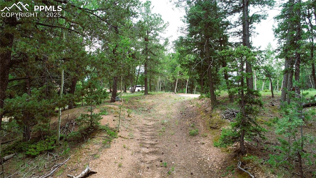 Image 25 of 37: Yard