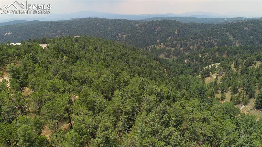 Image 30 of 37: Other