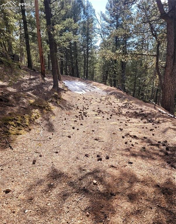 Image 9 of 37: Other