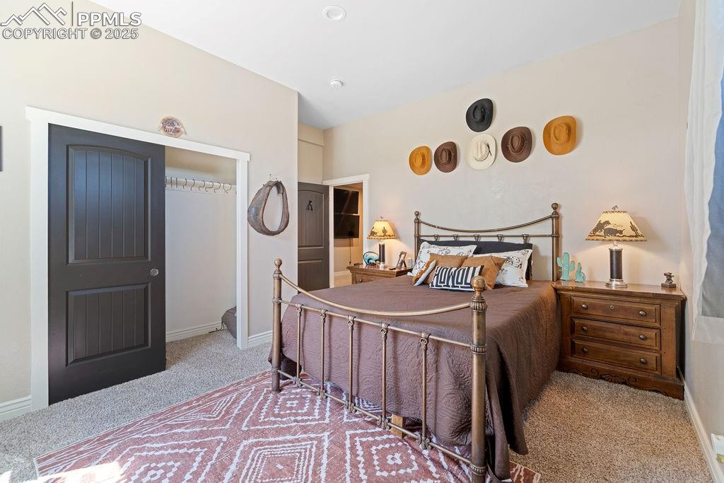 Image 19 of 50: Bedroom featuring light carpet and a closet