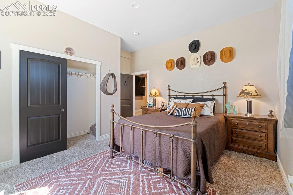 Image 5 of 50: Bedroom featuring light carpet and a closet