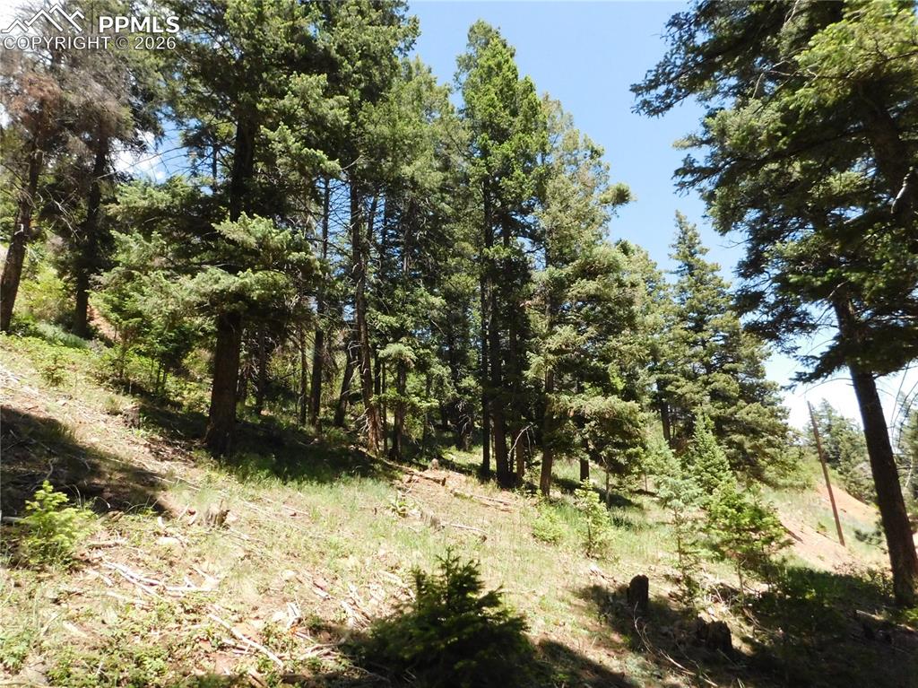 Image 19 of 44: No Description Available