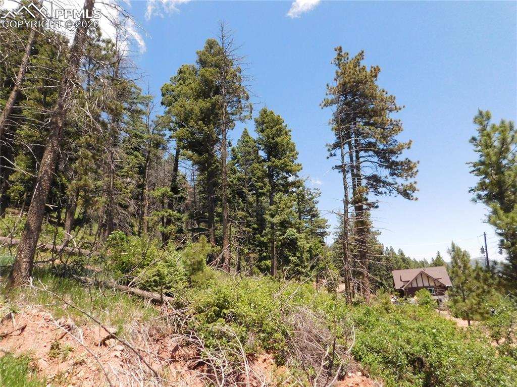 Image 5 of 44: No Description Available