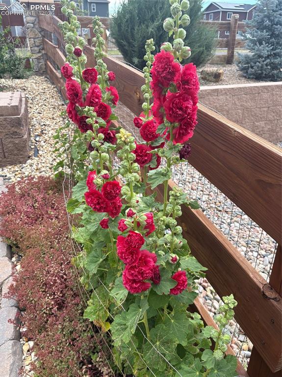 Image 30 of 37: So many flowers throughout the summer.