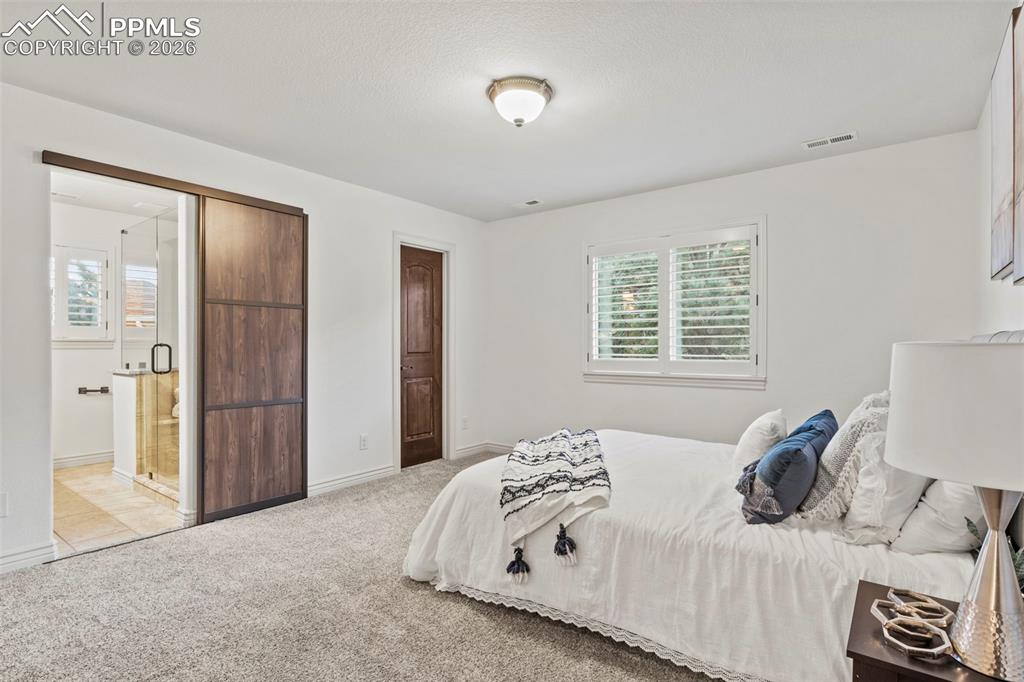 Image 32 of 44: Modern barn doors