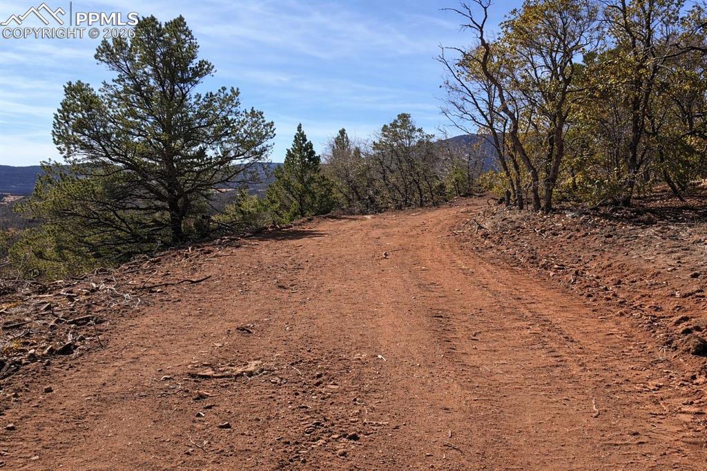 Image 12 of 26: Community