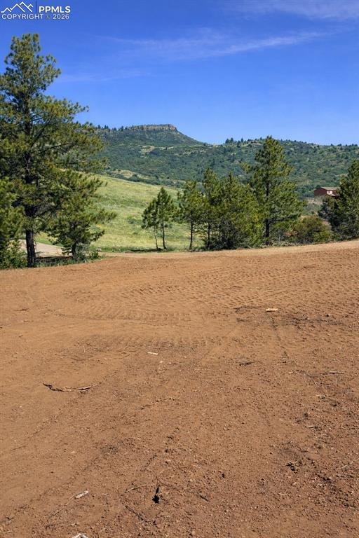 Image 13 of 26: View