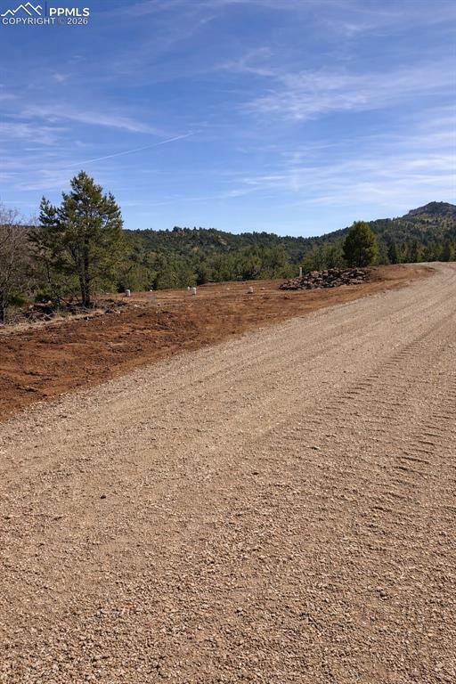 Image 15 of 26: Community