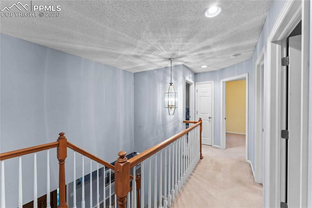 Image 20 of 44: Other