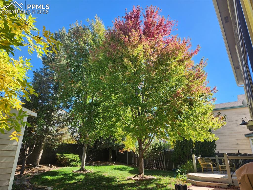 Image 40 of 44: Yard