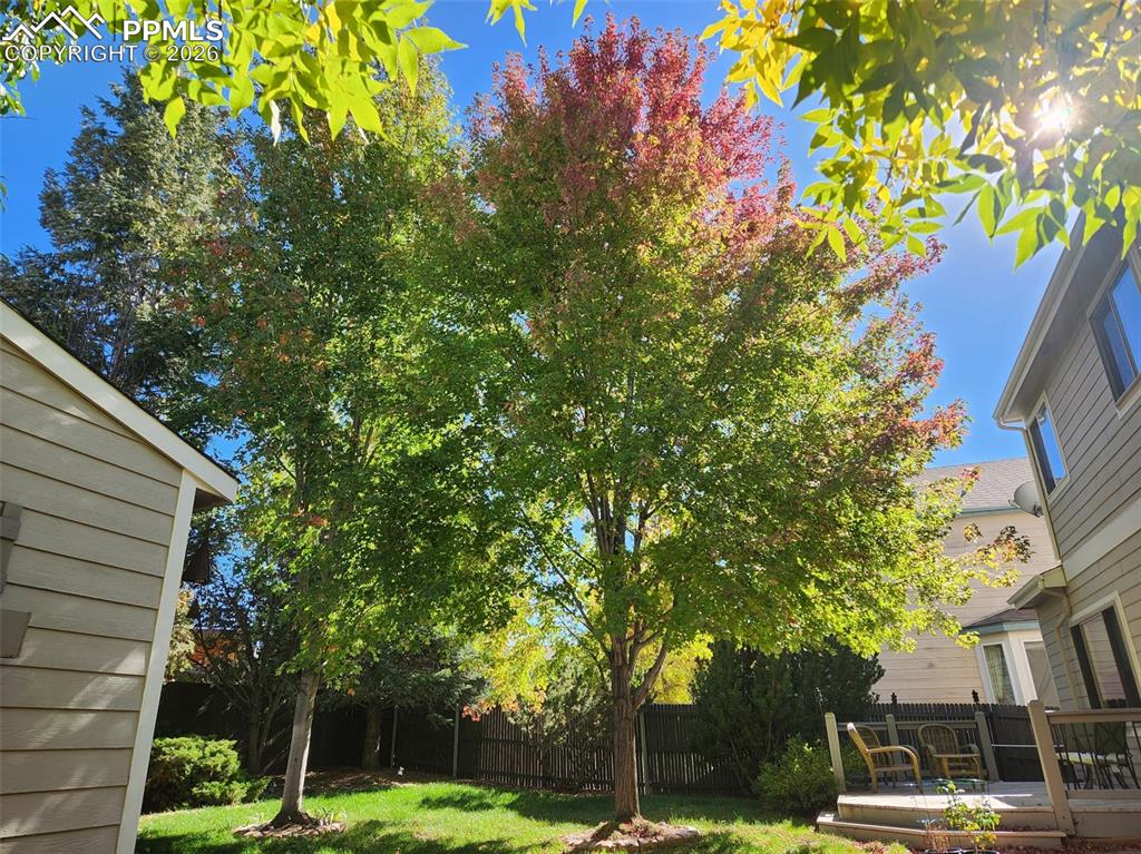 Image 41 of 44: Yard