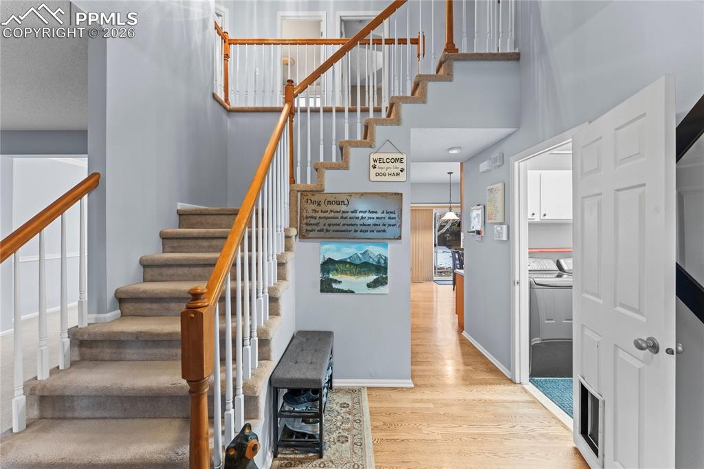 Image 5 of 44: Other