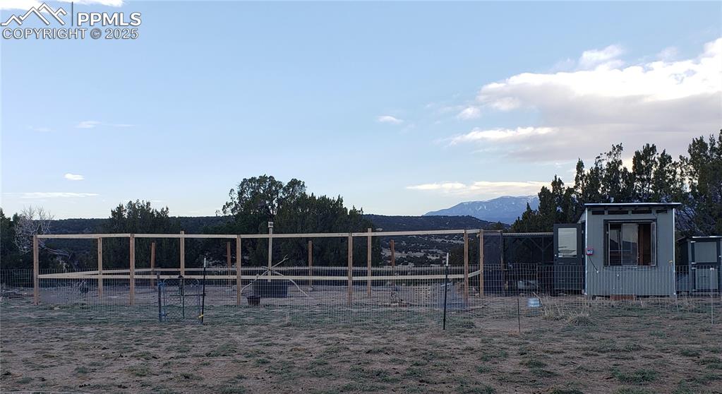 Image 18 of 37: Yard