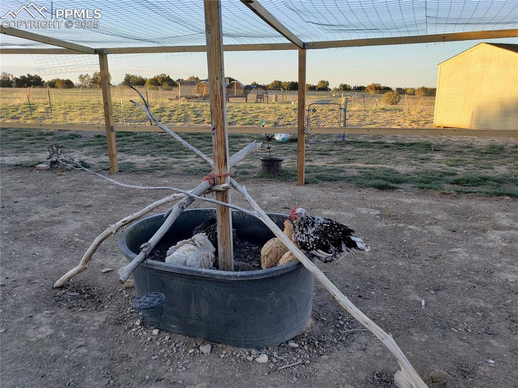 Image 19 of 37: Yard