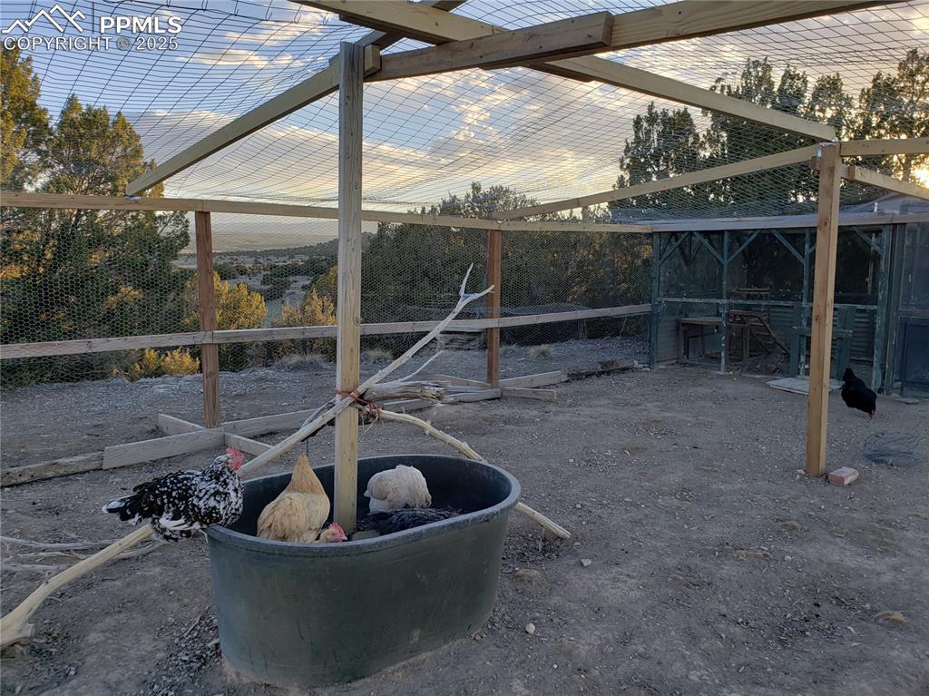 Image 20 of 37: Yard