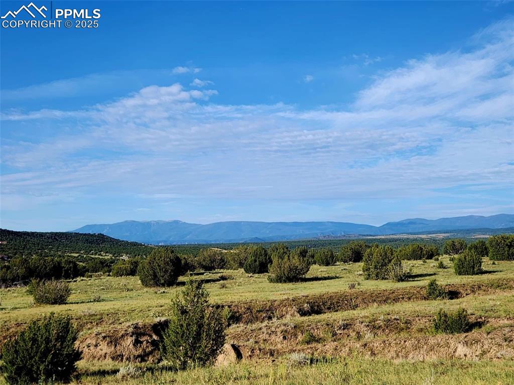 Image 21 of 37: View