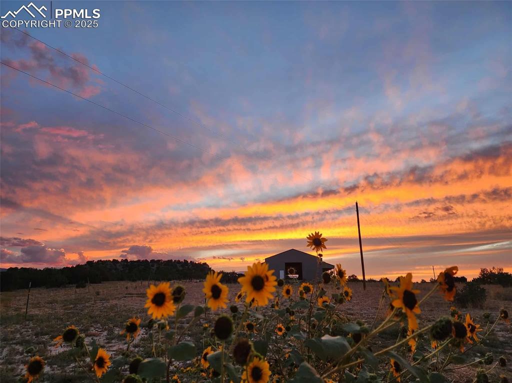 Image 24 of 37: View