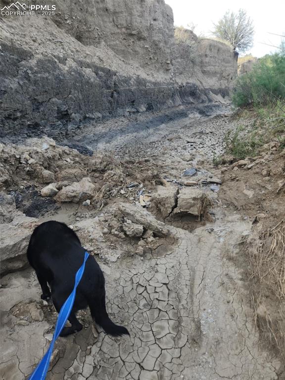 Image 30 of 37: Other