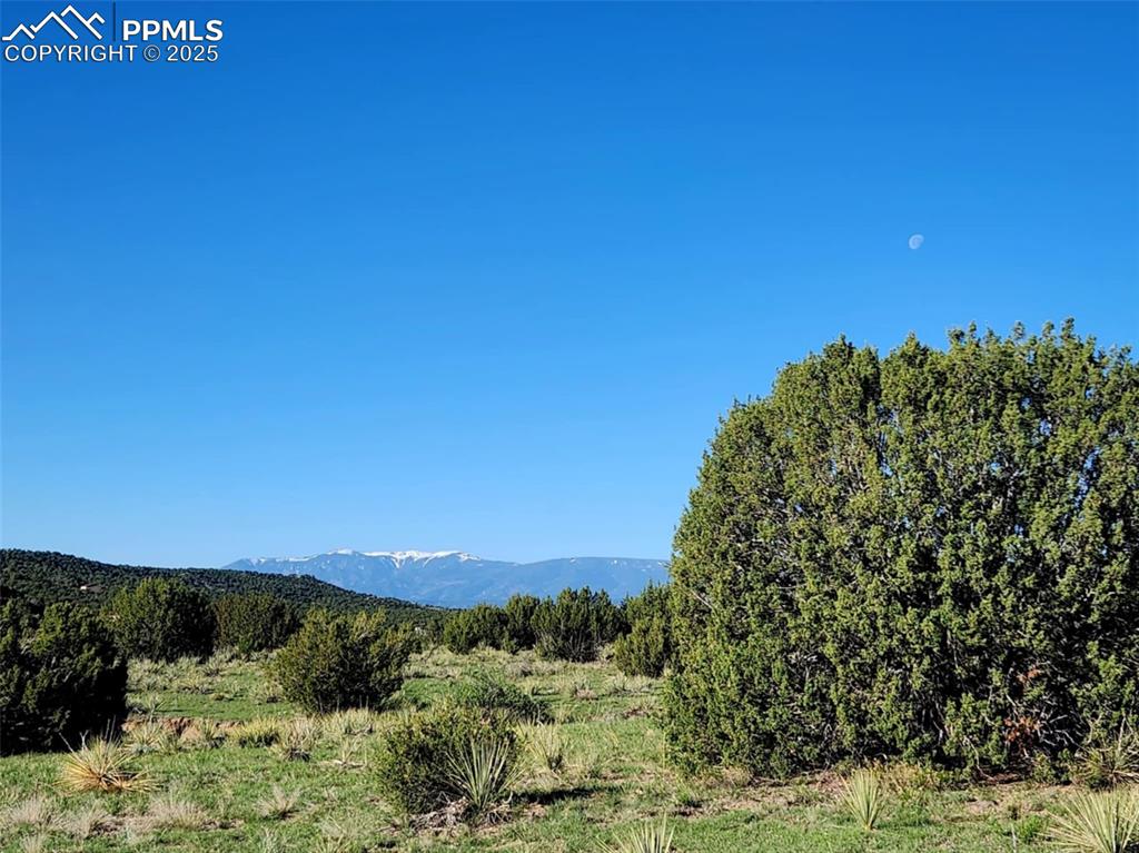 Image 35 of 37: View