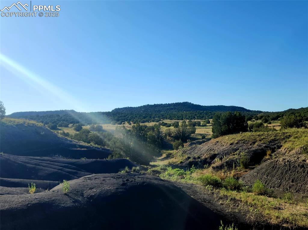 Image 36 of 37: View