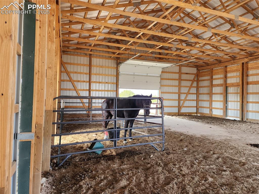 Image 4 of 37: Stable