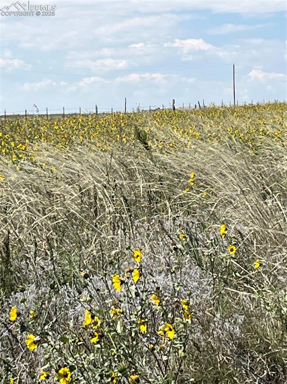 Image 2 of 5: View of local wilderness with rural landscape