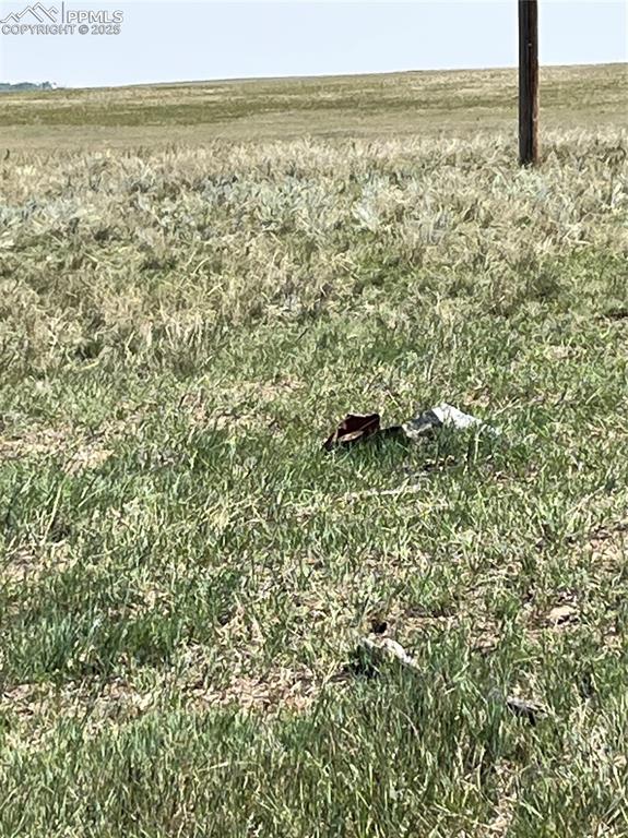 Image 4 of 5: Exterior view