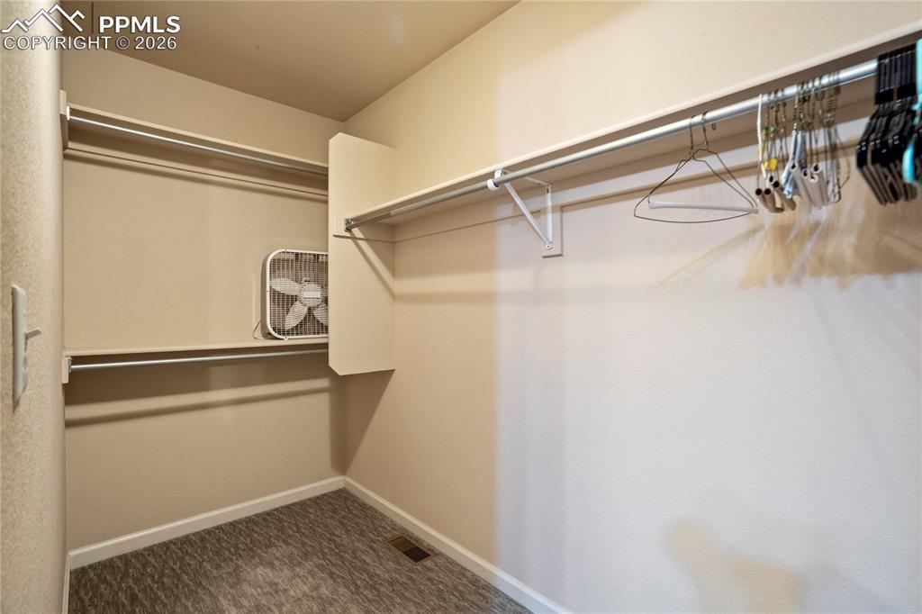 Image 23 of 42: Walk in closet with dark carpet