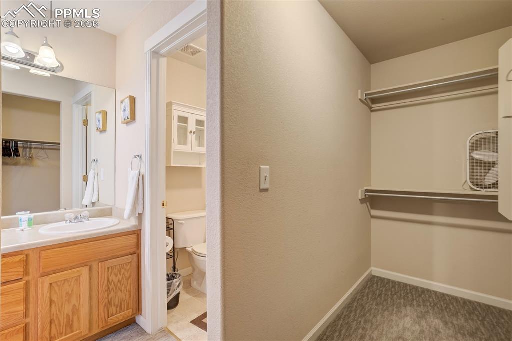 Image 24 of 42: Walk in closet with a sink and light carpet