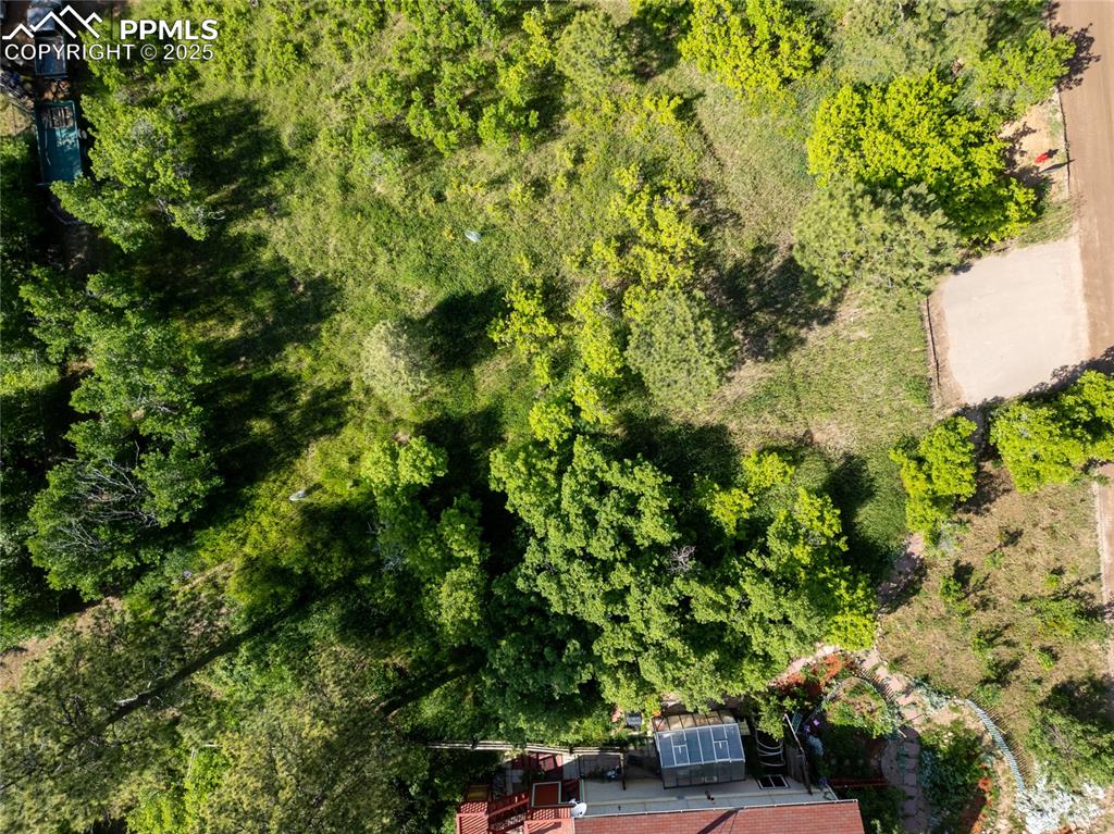 Image 4 of 11: Aerial View