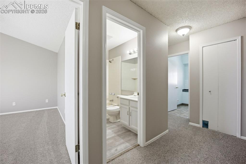 Image 17 of 50: Other