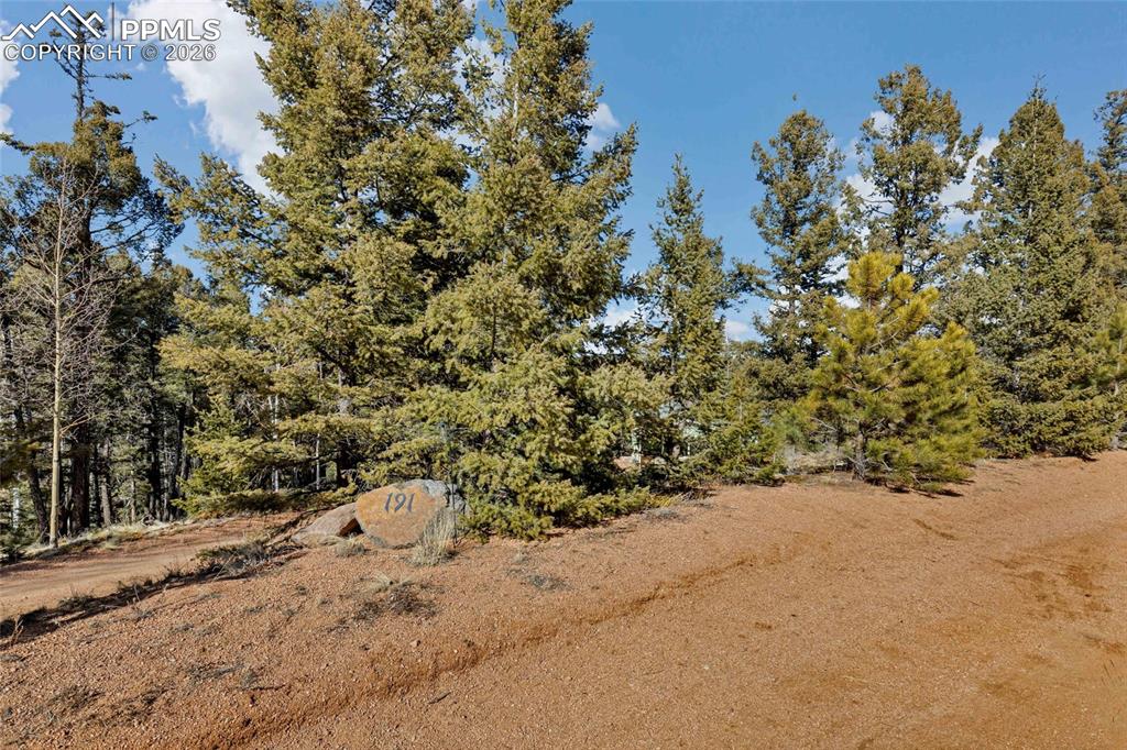 Image 3 of 48: Other