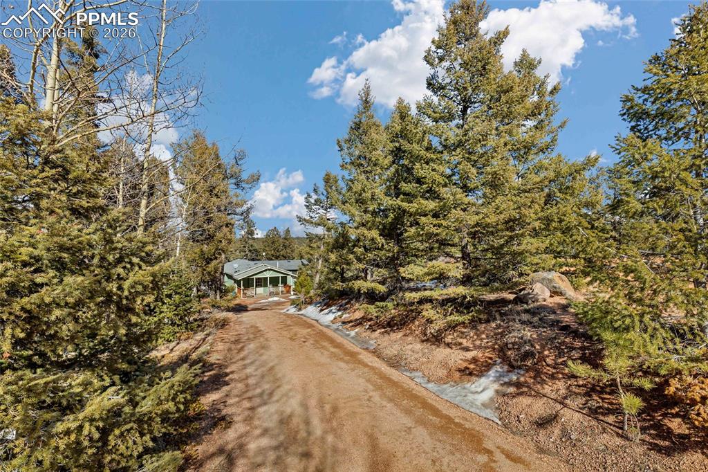 Image 4 of 48: Community