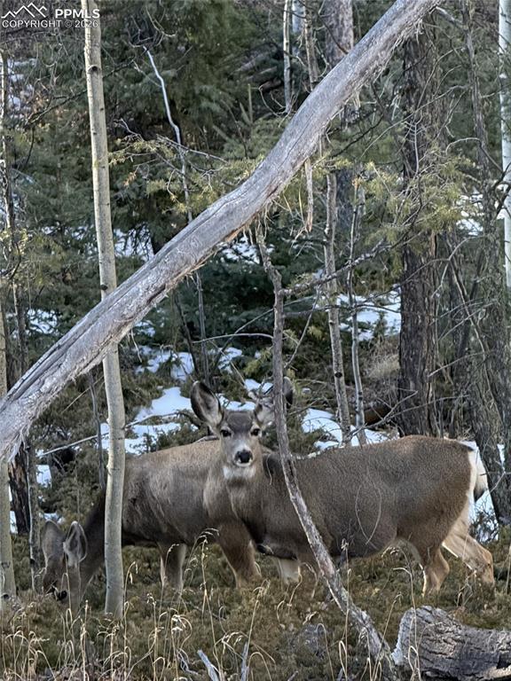 Image 46 of 48: Other