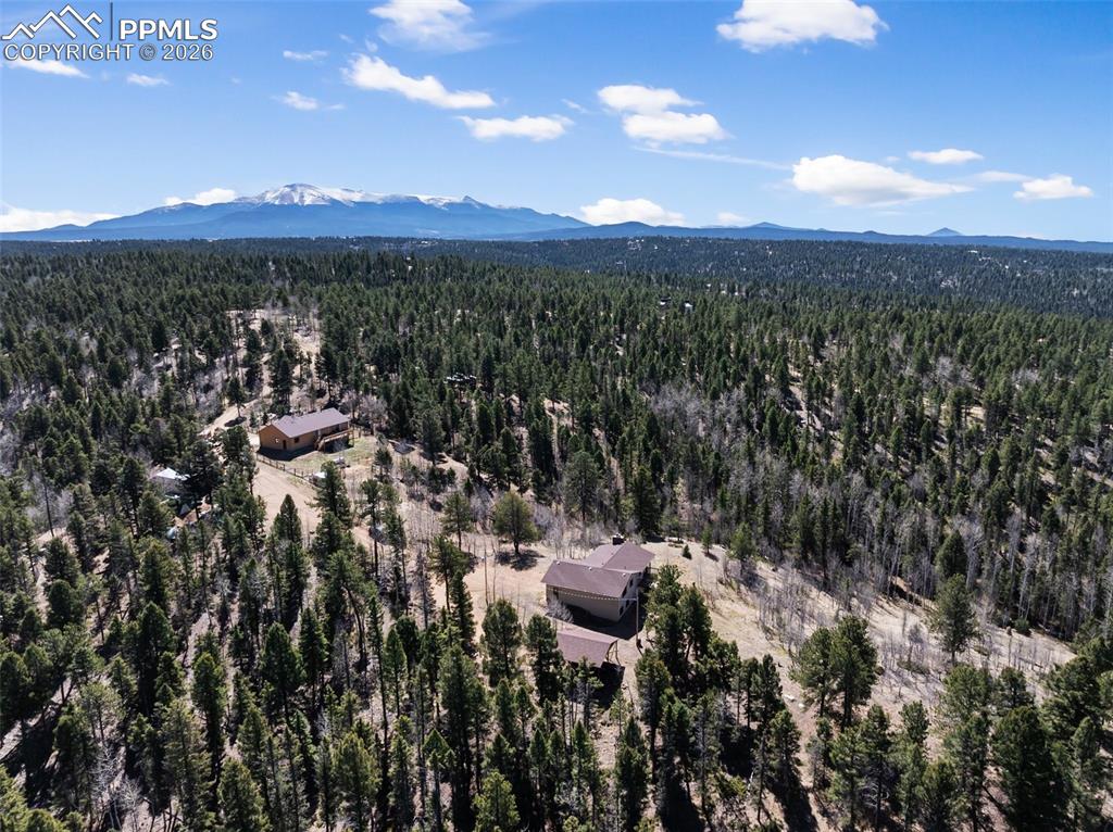 Image 49 of 50: Aerial View