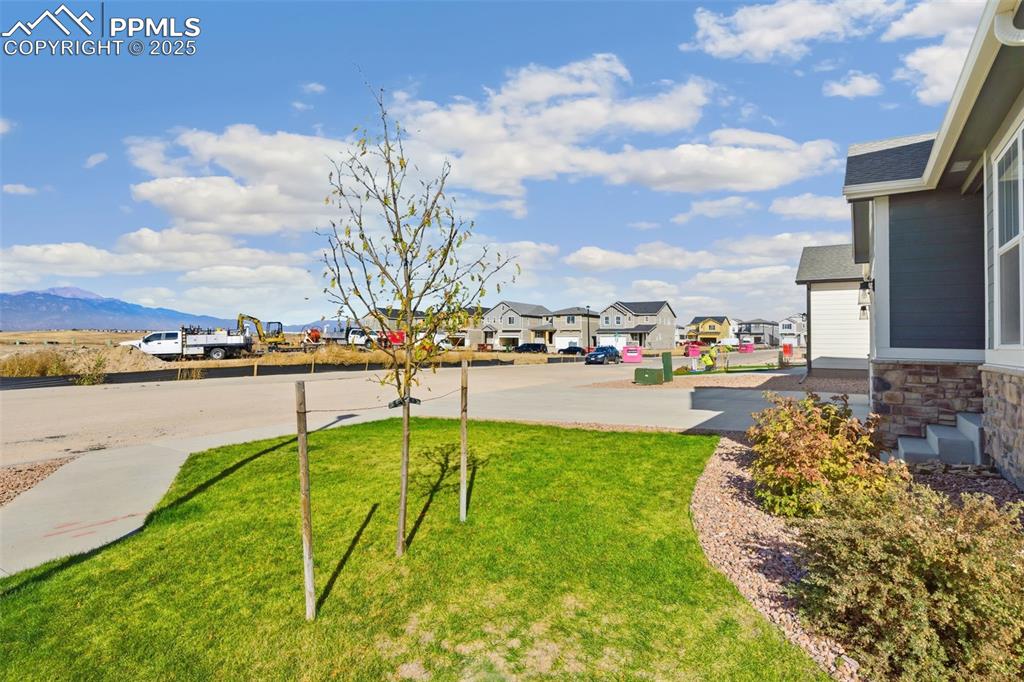 Image 49 of 50: Yard