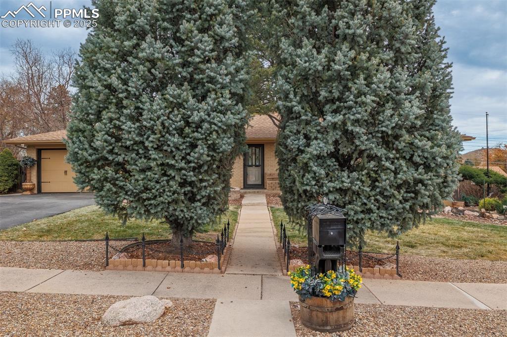 Image 45 of 46: Front of Structure