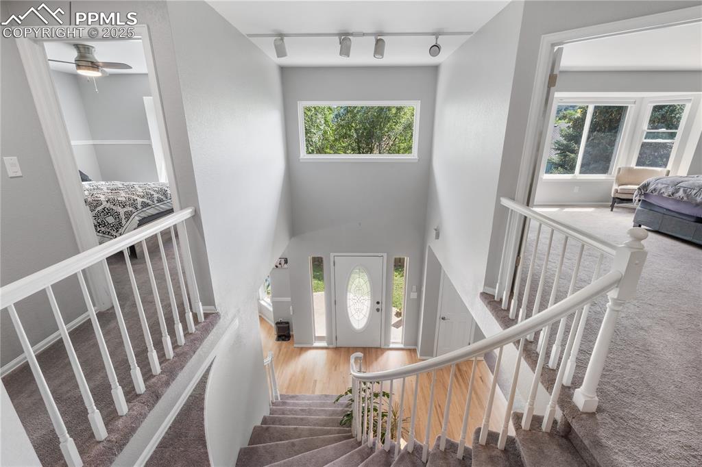 Image 27 of 50: Stairway featuring track lighting, healthy amount of natural light, carpet