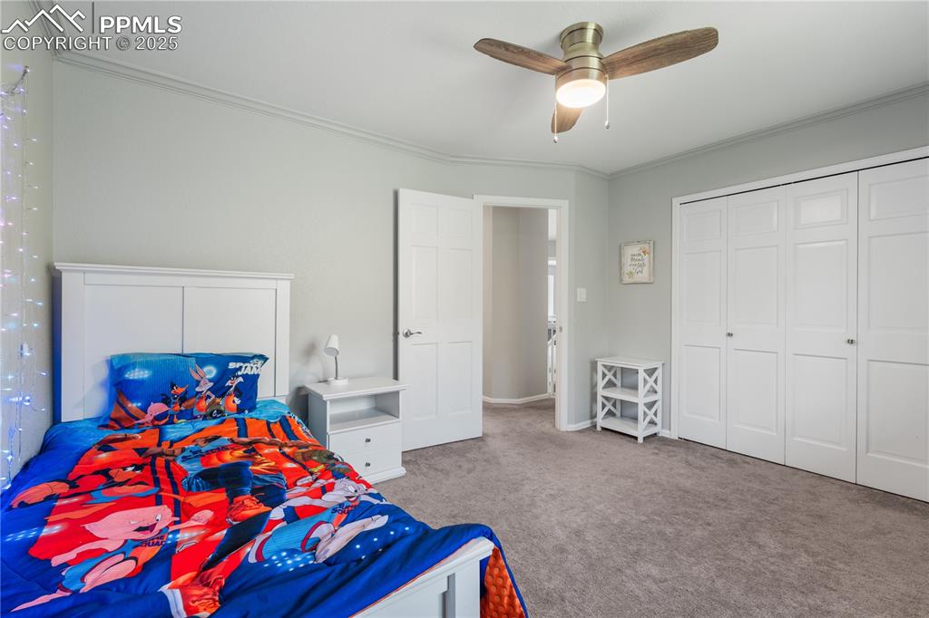 Image 31 of 50: Bedroom with carpet floors, ornamental molding, a ceiling fan, and a closet