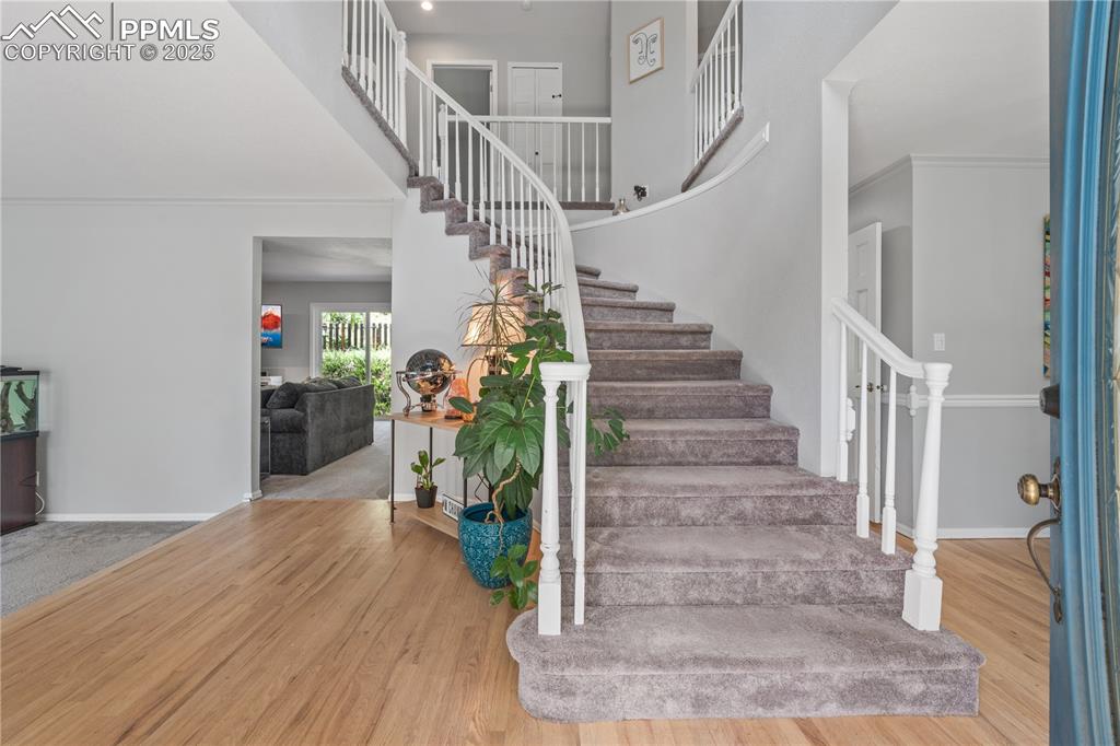 Image 5 of 50: No Description Available