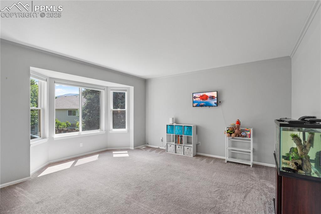 Image 9 of 50: Other